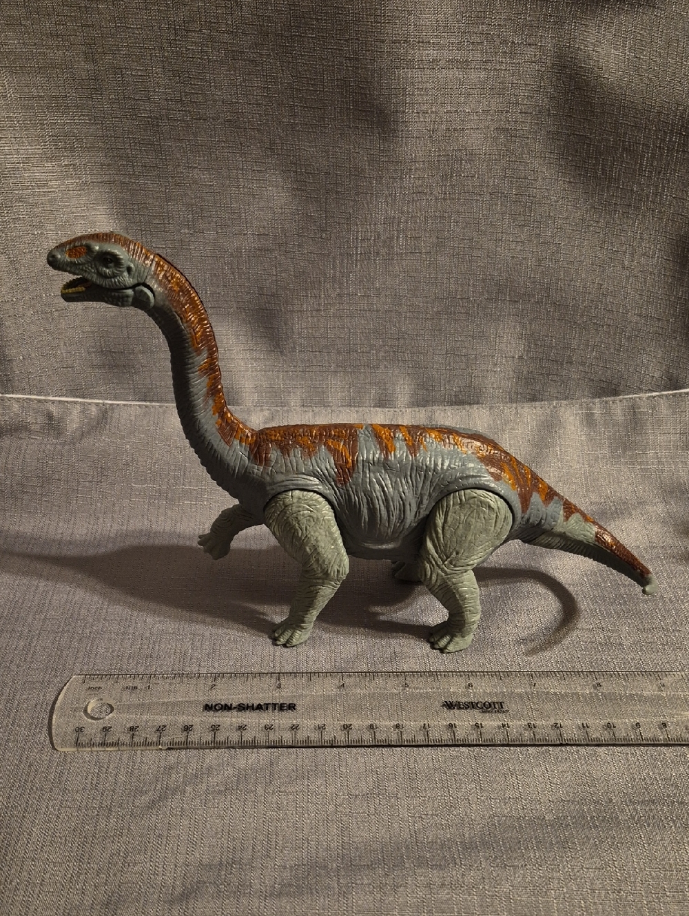 Brontosaurus Dinosaur